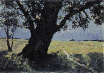 immagine dell'opera