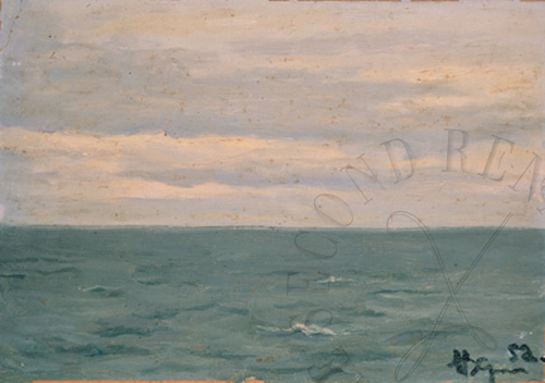 immagine dell'opera