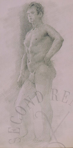 immagine dell'opera
