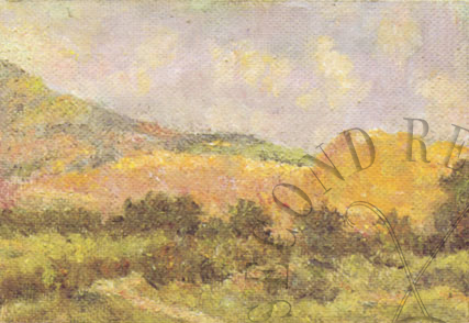 immagine dell'opera