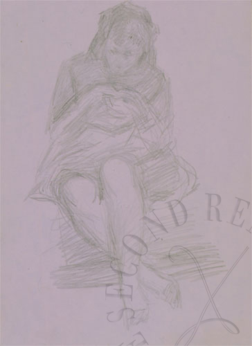 immagine dell'opera