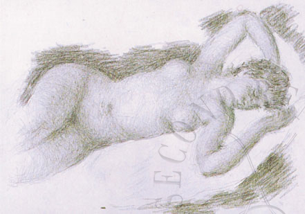 immagine dell'opera
