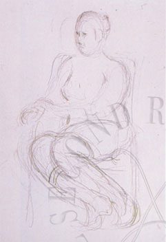 immagine dell'opera