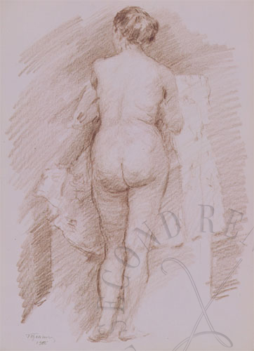 immagine dell'opera