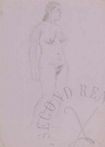 immagine dell'opera