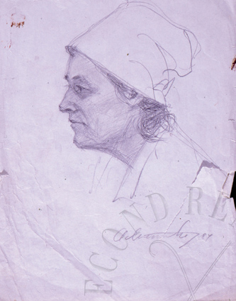 immagine dell'opera